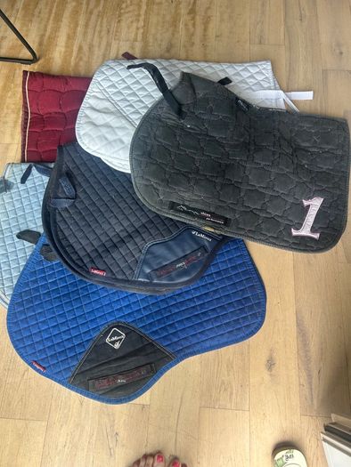 Equestrian