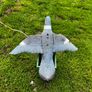 decoy pigeon Image 4