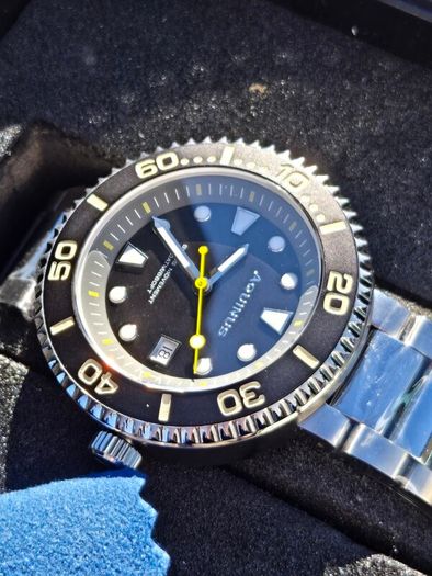Aquinus Immersius Diver