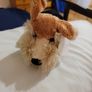 Simply Adorable Plush Soft Toy Dog Brand New Image 2