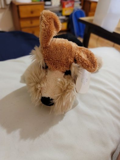 Simply Adorable Plush Soft Toy Dog Brand New