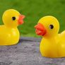 Mini resin ducks Image 2