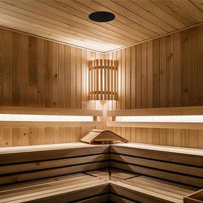 Finnex moisture proof frameless sauna steam room or bathroom speakers