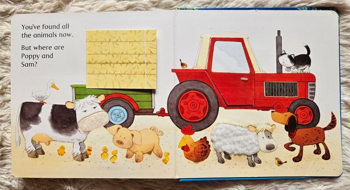 Usborne Touchy-Feely Farmyard Tales - Animal Hide-and-Seek