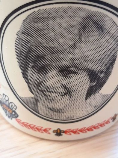 The Marriage Of The Prince Of Wales &  Lady Diana Spencer  Mug 1981