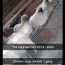 Silkie Bantam Hatching Eggs Image 2