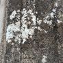 Marley Roof Tiles Image 3