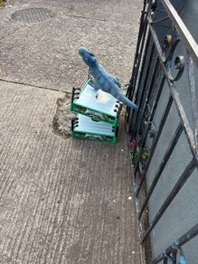 free toys