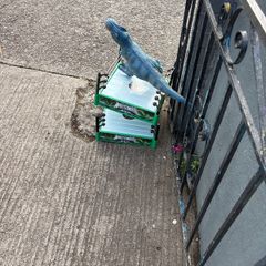 free toys