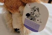 Simply Adorable Plush Soft Toy Dog Brand New