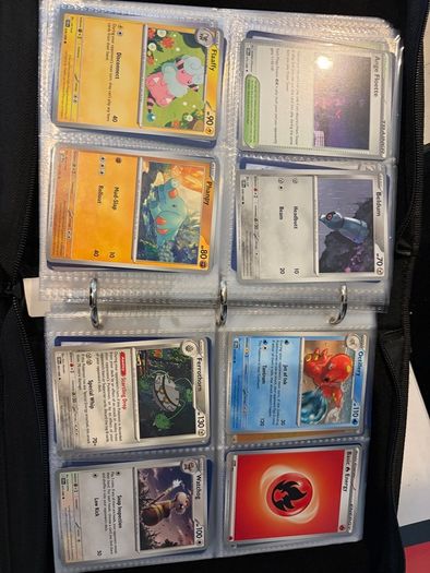Pokemon TCG Card Collection (480 Cards)