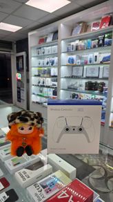 Wireless PS5 Style Controller