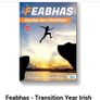 Feabhas Transition year irish bn Image 4
