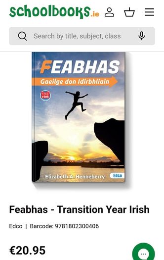 Feabhas Transition year irish bn
