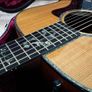 Taylor Custom Order Dreadnought Dn Image 2