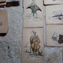 Vintage fish prints Image 6