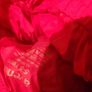 kids raincoat, boots, snow trousers etc Image 2