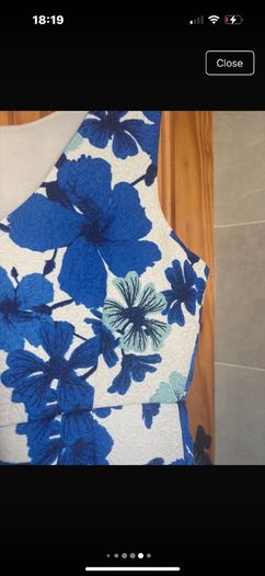 white & blue dress