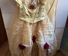 Rare Limited Edition Disney Princess Belle Dress
