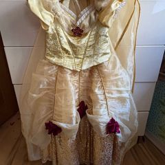 Rare Limited Edition Disney Princess Belle Dress