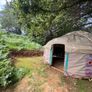 Yurt for sale Image 3