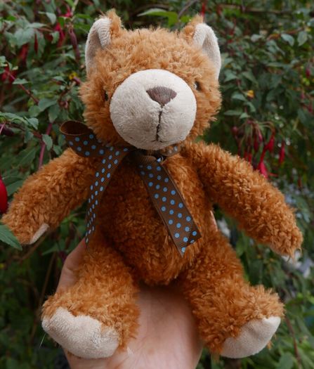 Vintage Teddy Bear