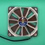 Noctua NF-F12 PWM 120mm Fan Pair with Y-Cable Image 4