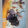Jigsaw Djeco Tatanka Native American age 4+ Image 3