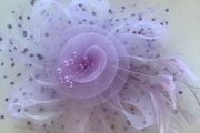 Hair fascinator