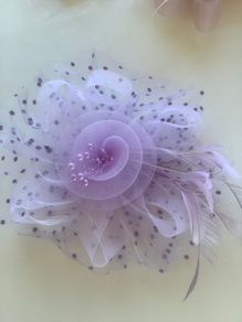 Hair fascinator