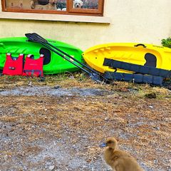 Kids kayak and accessories