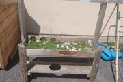Kids play table