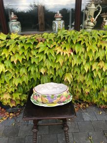 Majolica style bowl