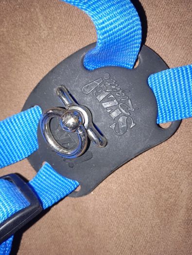 dog harness