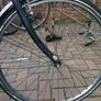 bike Image 5
