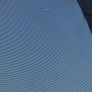 Trampoline Image 9