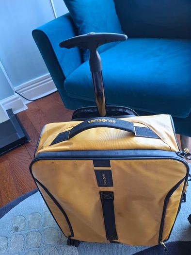 Samsonite spinner