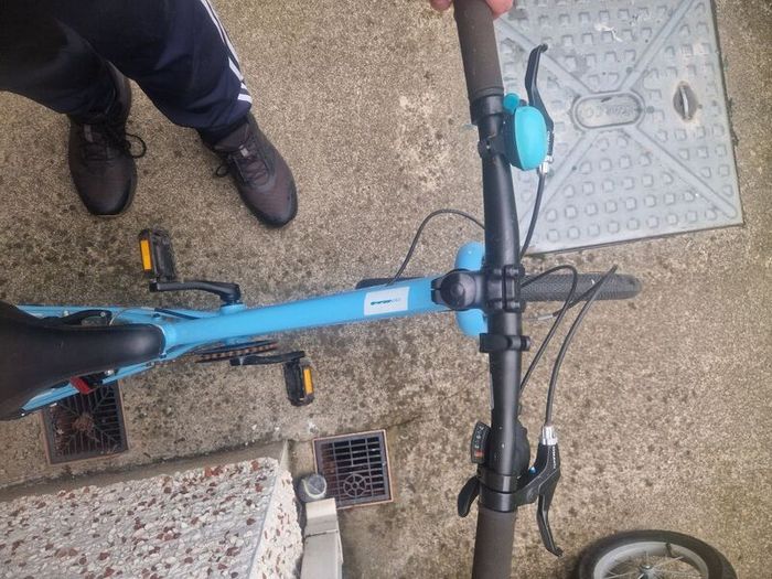 Girls/Boys Ridgeback bike.
