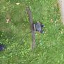 towbar Image 10