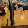 Tcl Smart Tv Image 3