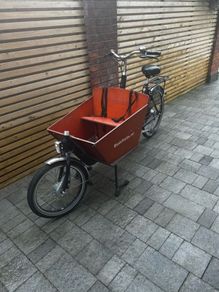 Cargo/ dutch bike