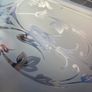 Acid etched glass panel Image 7