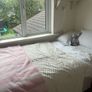 single bed x1 and foldable/ collapsible slide under bedx1 Image 6