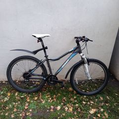 Giant bike