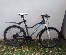 Giant bike