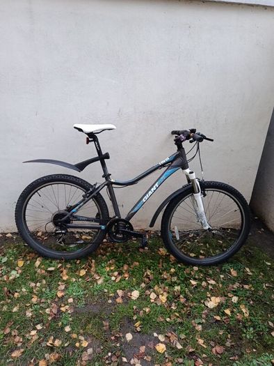 Giant bike