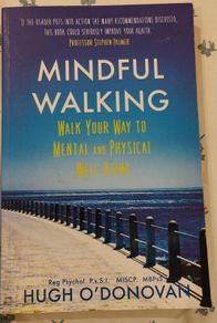 Mindful Walking Book by Hugh O'Donovan