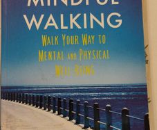 Mindful Walking Book by Hugh O'Donovan