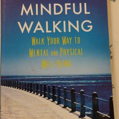 Mindful Walking Book by Hugh O'Donovan