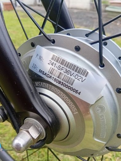 Electric  Ladies  Bicycle